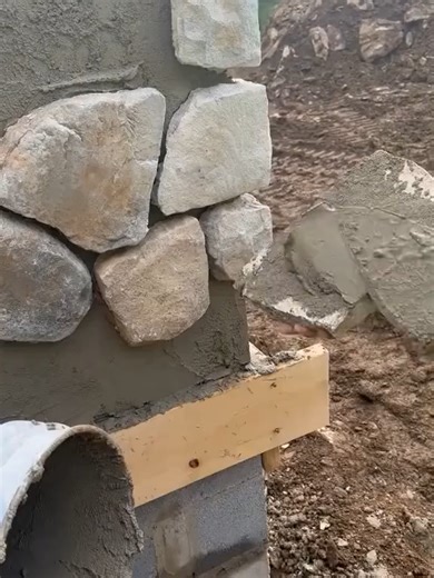 Video của ideas_fox (@ideas_fox) với bản nhạc TÌNH NÀY CHO EM - Youth