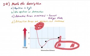 SOLVED:The graph below shows the amount of potential energy between two hydrogen atoms as the distance between them changes. At which point in the graph would a molecule of H2be the most stable? GRAPH CAN'T COPY (A) Point A (B) Point B (C) Point C (D) Point D