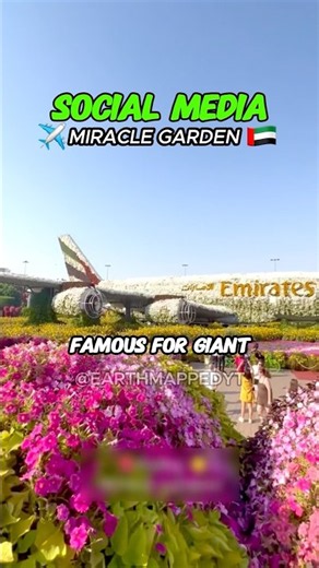They Made An Airplane Out Of Plants😱