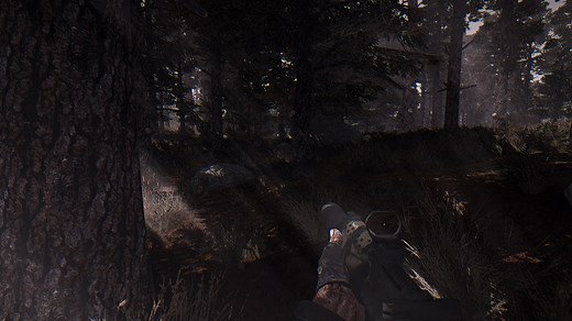 1.5.1 Immersive Useful HUD addon - S.T.A.L.K.E.R. Anomaly mod for S.T.A.L.K.E.R.: Call of Pripyat