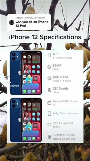 Apple iPhone 12 Specifications