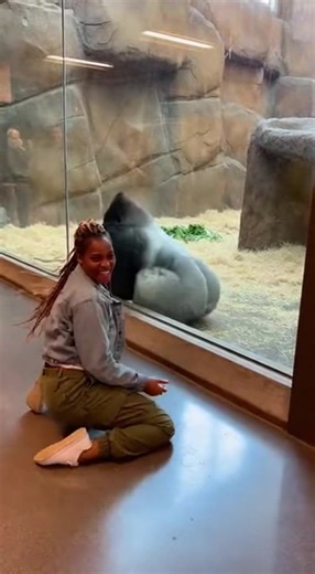 Gorilla Smart #zoo #dance #animals #hiphop #ai