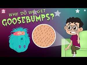 "What Are Goosebumps? | Fun Science for Kids!"