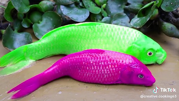 Creative Cooking 🐋🐟 (@creative.cooking63)’s videos with original sound - Creative Cooking 🐋🐟