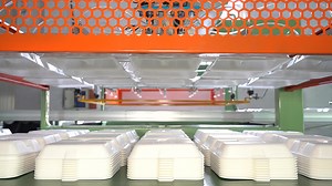 Small Disposable Foam Plate Making Machine Price in Pakistan