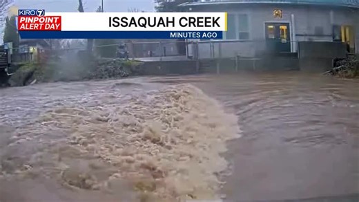 93K views · 628 reactions | WATCH: Tree crashes down the Issaquah Creek, caught on camera from the Issaquah Salmon Hatchery. Major Flooding expected on the Issaquah Creek into Thursday. | Morgan Palmer | Facebook