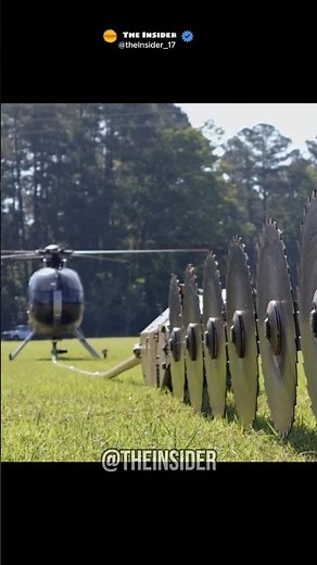 You’ve Never Seen Tree Cutting Like THIS Before! 🔥 | The Insider