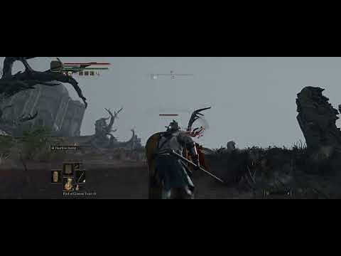 Elden Ring, Ultrawide, and Unlocked FPS, online play (testing a new mod).