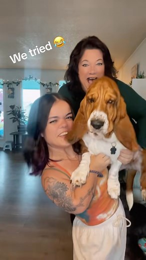 Lydia Barnes | Our Basshole Luna was born for our shenanigans 😂🙌🏼🐶#gumdropgoblin #findinglydia #comedy #bassethound #positivevibes | Instagram