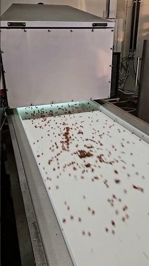 Optical sorting machine ESOS 800 AI