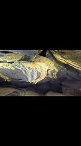 13K views · 177 reactions | Beautiful cave formations Some lovely yellow fans and a beautiful river of cave pearls in this amazing South Devon cave system #caves #urbex #underground #exploring #inthedark #caving #devon #uk | Forgotten & Forbidden Explores | Facebook