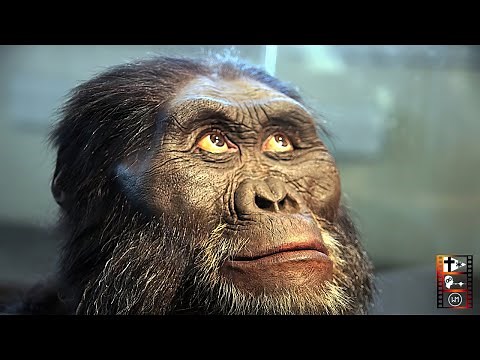 Vom Affenmenschen zum Übermenschen? | Schöpfung vs. Evolution