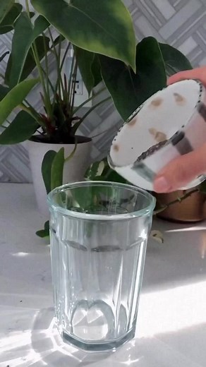 Chia Seeds Water Ratio best practices