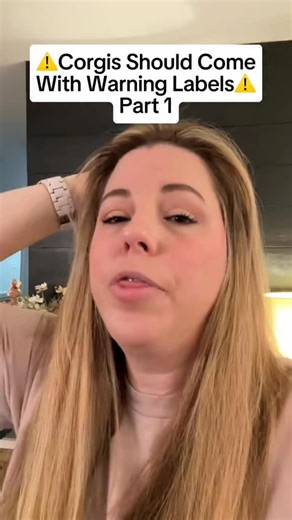 Corgis should come with warning labels. #Corgis #CorgiParents | Ollie The Tripod Corgi