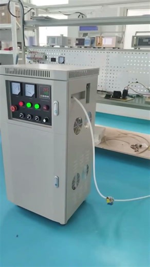 50g Air Cooled Ozone Generator Test #aquaculture