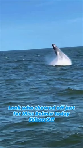 Miss Belmar • Whale Watching & Fishing NJ on Instagram: "How amazing is it to see a full whale breach in person? 🐋💙 Today’s Jersey Shore whale watching trip with Miss Belmar gave our guests front row seats to the show! 🎟 Use code WHALE25 for $25 weekday tickets (July only!) 📍 Departs daily from Belmar Marina 📞 Call 732-681-6866 or book at missbelmar.com #JerseyShoreWhaleWatchingTrips #MissBelmar #WhaleWatchingNJ #BelmarMarina #FamilyFunNJ #WhaleBreach #NJDayTrip #StayBranded"