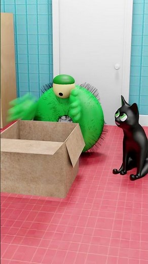 The Best House For Cat!