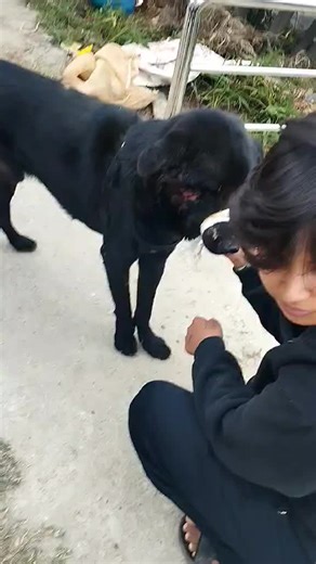 kun papi le bato ma bhako dagyy KO yauta aakha nai futai diyacha tyo soddy KO aaja hame upachar gardai ktm ma