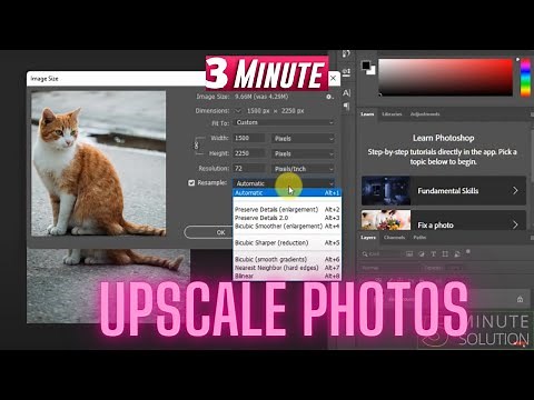 How to Upscale Photos in Photoshop 2024