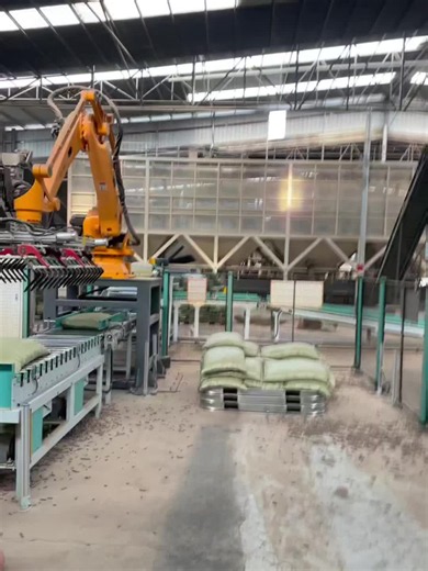 Palletizing Robot Automation: Robotic Arm for Industrial Palletizing