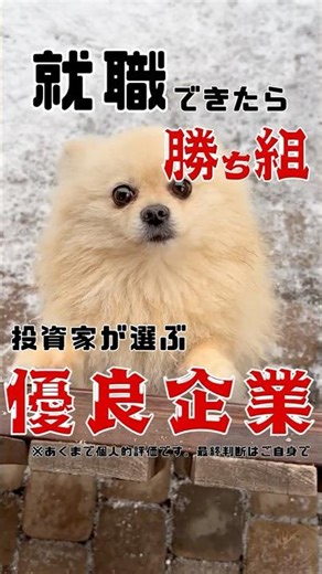 【就活生必見！】就職出来たら勝ち組？YANMAR（ヤンマー）ってどんな会社？