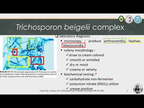 Basic Medical Mycology 02 | SUPERFICIAL & CUTANEOUS MYCOSES (Mahon 7th ed)