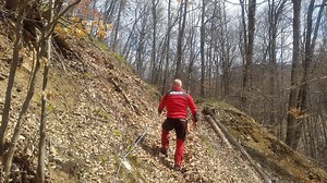 Salvamontiștii din Covasna au închis mai multe trasee turistice din staţiunea Balvanyos, după apariția urșilor în zonă