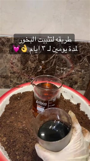 ‏لطلب بالموقع فالبايو