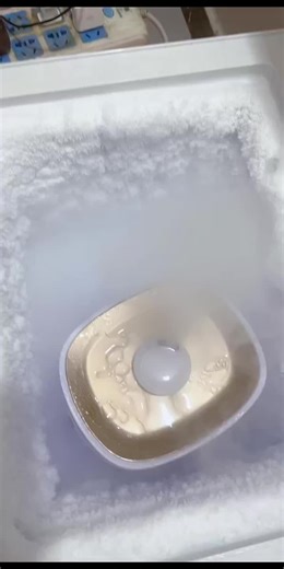 Exploring Delicious Freezer Frost Eating Sounds