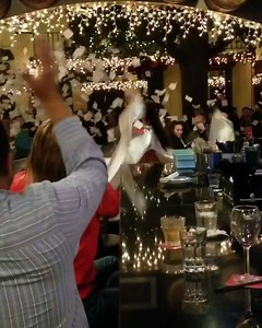 Brace yourselves for a whirlwind of music, dancing, food... and napkins. 💃🏻 #OPA 📸: @living_free_of_gluten | Taverna Opa Orlando