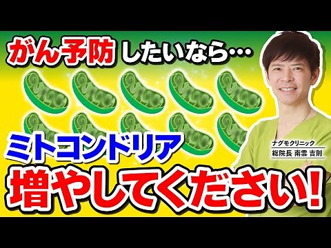 あなたの体内にあるミトコンドリアを活性化させる方法（脂肪燃焼・糖質制限・がんリスク・ナグモクリニック・予防医療）