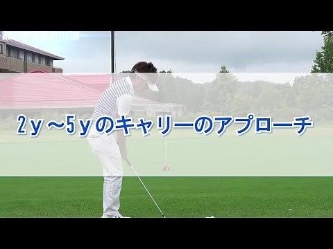 2ｙ～5ｙのキャリーのアプローチ