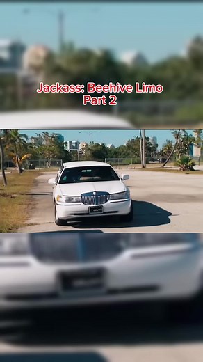 Jackass.funnymoments on TikTok