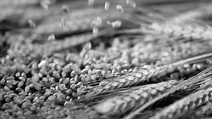 10 food labels designed to trick you at the grocery store