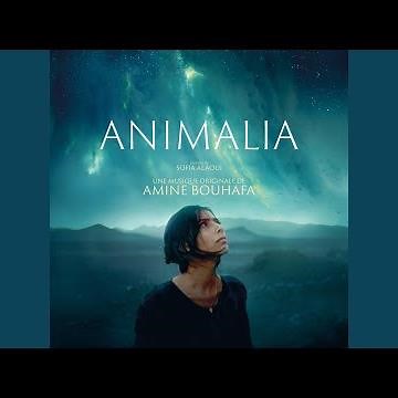 Animalia Main Title 1
