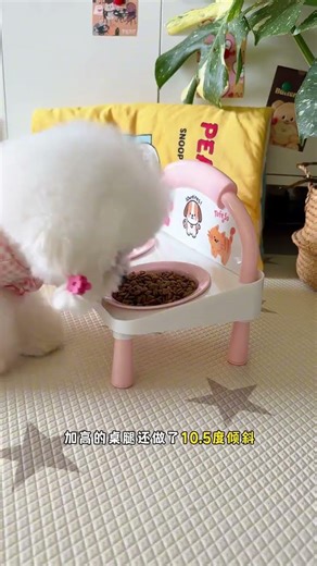 This ceramic pet bowl is just too good-looking The price is not high either. Hurry up and