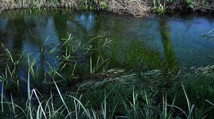 Rivière au printemps, période d'expiration : vidéo de stock (100 % libre de droit) 1009330604 | Shutterstock