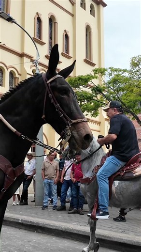Colombian tradition comes alive on horseback in the heart of the town! 🐎🤠