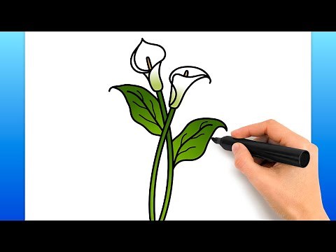 How To Draw A Calla Lily Flower (Easy Drawing Tutorial)