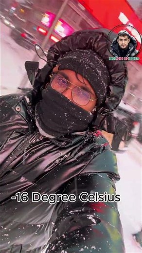 শীত #torontoattractions #snow