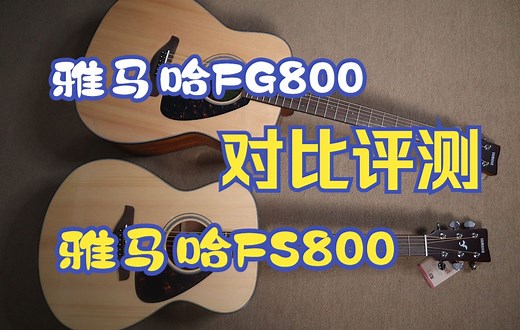 雅马哈FG800 VS 雅马哈FS800 对比评测，不同桶型有什么区别。
