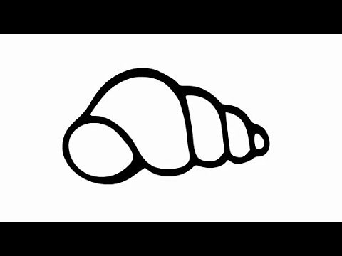 How to draw a Seashell - Easy step by step drawing tutorial