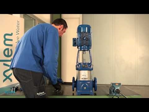 Repair: Mechanical seal and O-ring replacement on large Lowara e-SV pumps