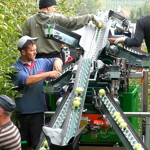 548K views · 2.6K reactions | This machine is perfect for harvesting apples and any other fruits  via revoitalia.it | Interesting Engineering | Facebook