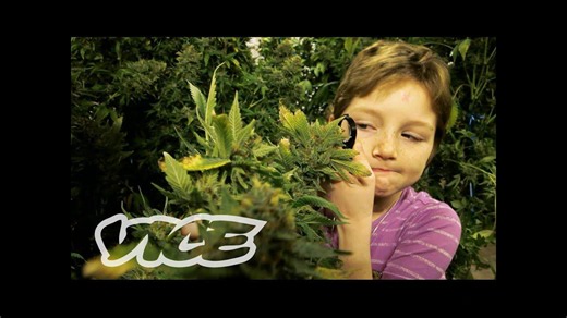 Menores y marihuana | WEEDIQUETTE