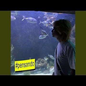 #pensando
