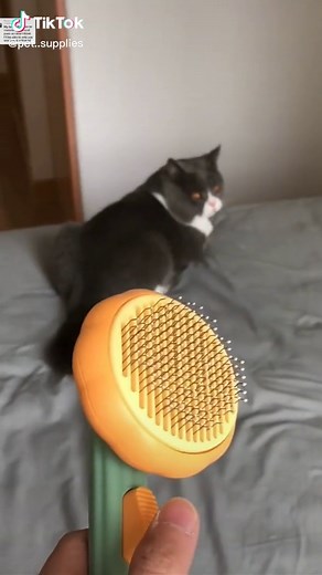 Cat Brush Review: An Essential Grooming Tool for Your Furry Friend