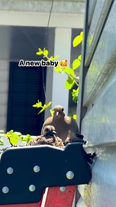 A new baby | A Life Less Scripted