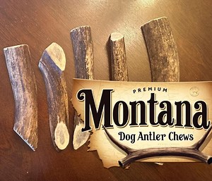 Montana Elk Antler Dog Chews: Large, Organic, Nutritious - 3 Pack - Etsy