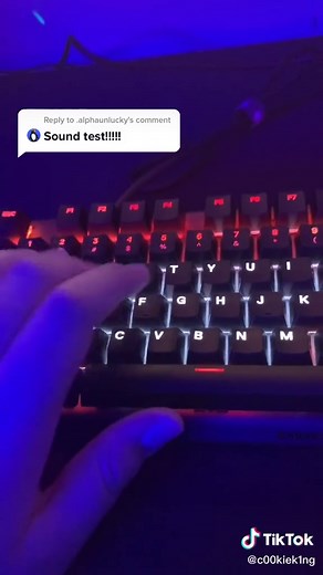 SteelSeries Apex Pro Mini & TKL Sound Test | Gaming Keyboard Review